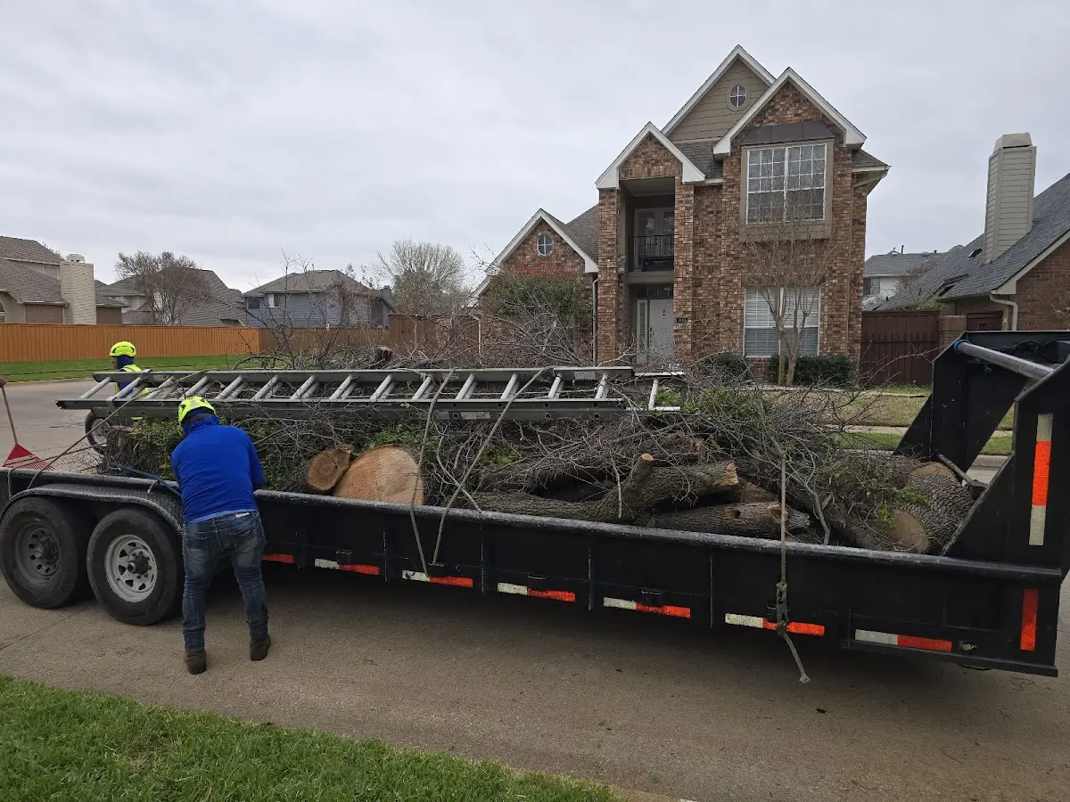 Expert Tree Fertilization with proper safety equipment in Reagan